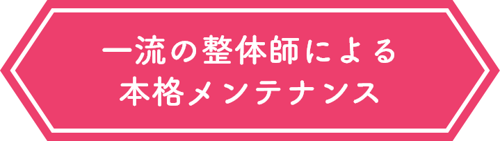一流の整体師による本格メンテナンス
